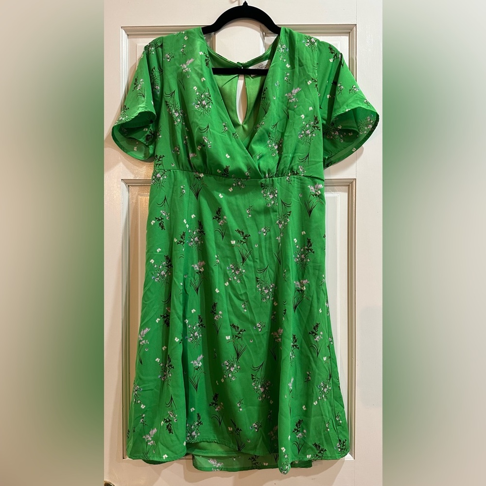 Kaileigh Green V-Neck Floral Mini Dress Medium NWOT